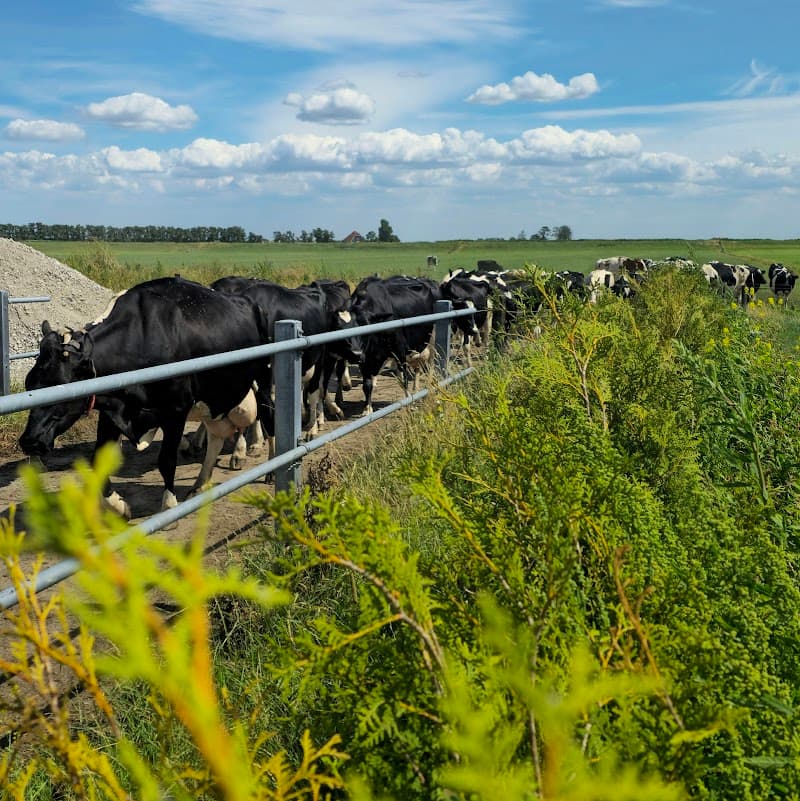 Pantslake Camperplace