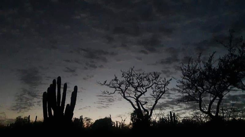 Santuario " Ameyalli"