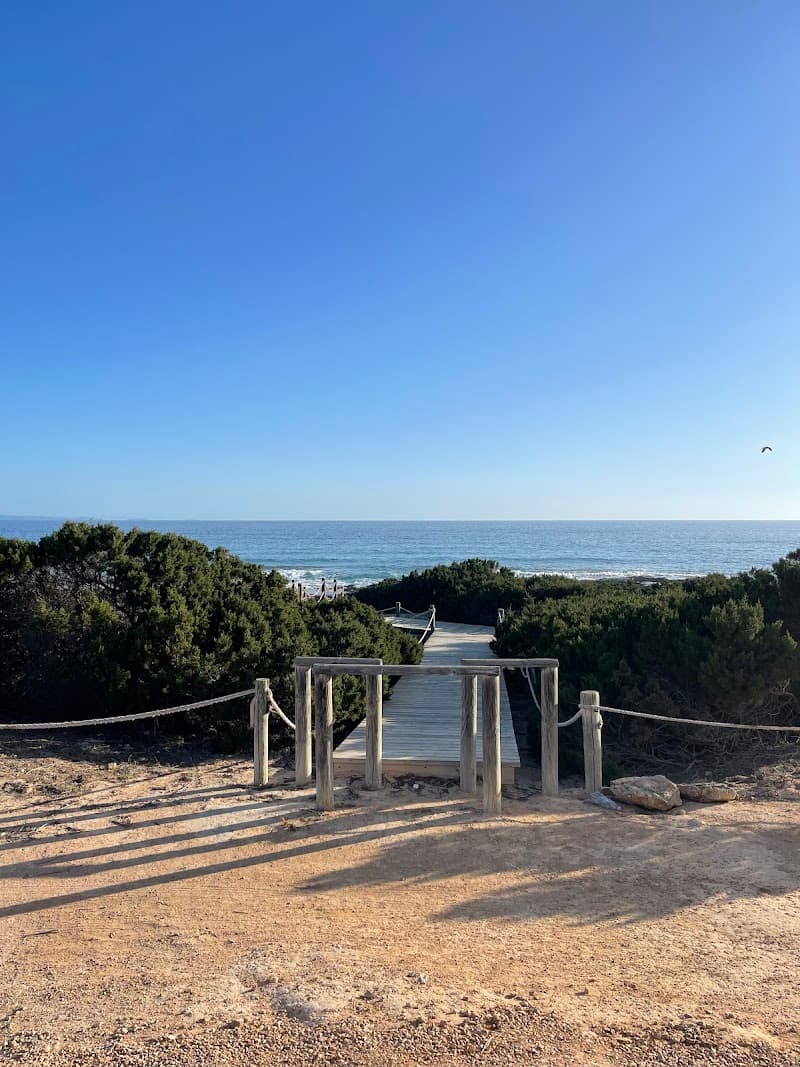 Apartamentos Turísticos Es Caló Essence- Coral, Brisa y Arena.