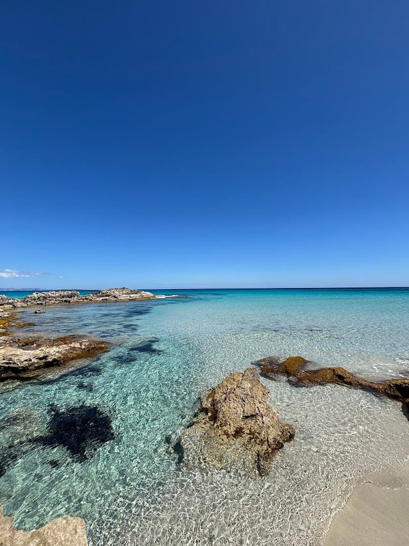 Apartamentos Espalmador