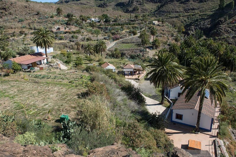 EcoTara Canary Islands