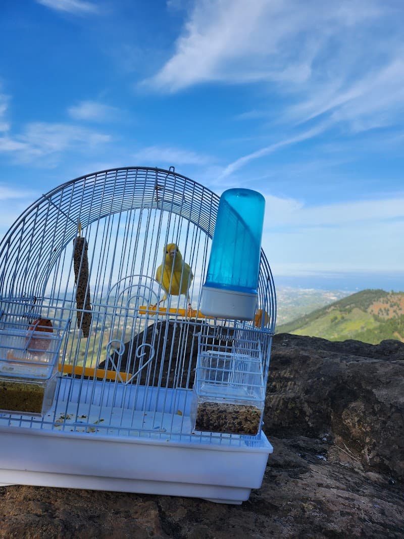 Zona de Acampada de Llanos del Salado