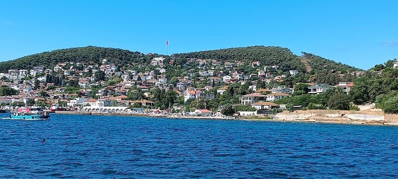 Iliasko Ikiz Evleri-Hotel de la Grèce