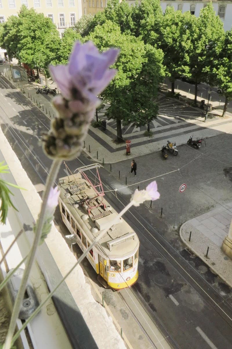 Lisbon Calling Hostel