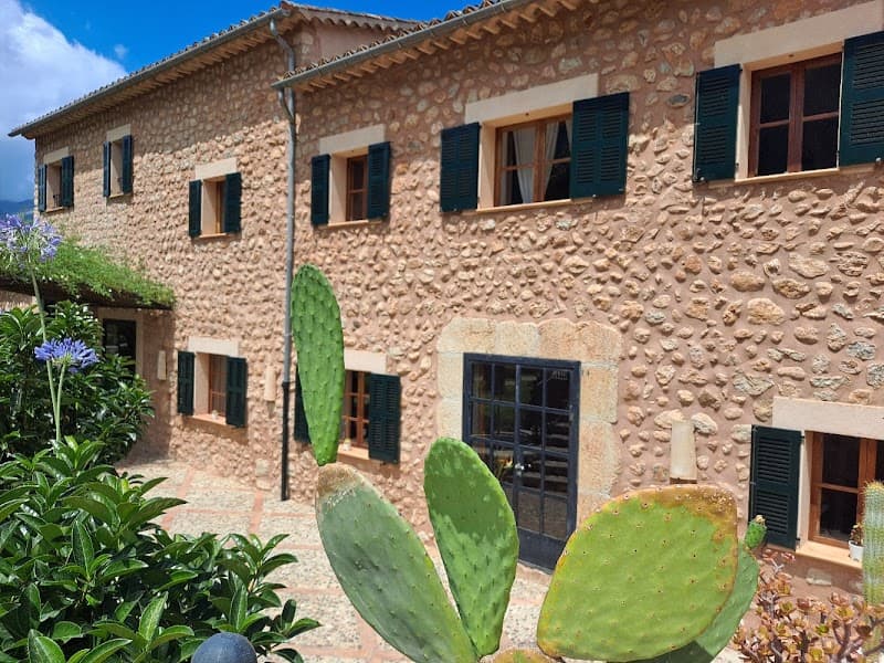 Hotels with spa and wellness center in Mallorca