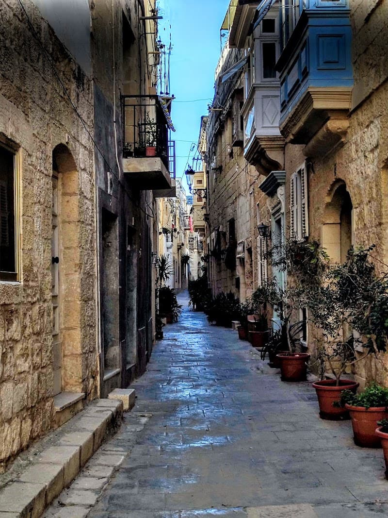 Orchid Boutique Accommodation