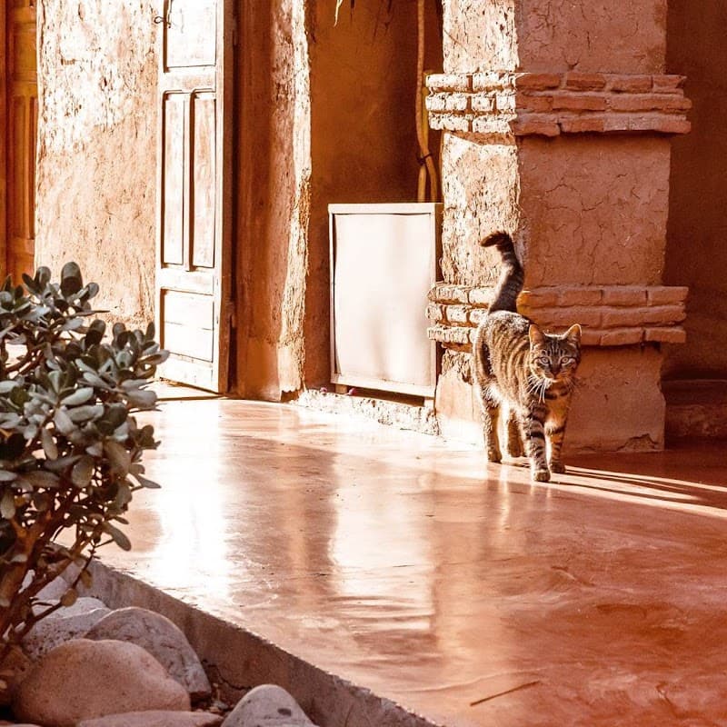La Ferme Berbere Marrakech