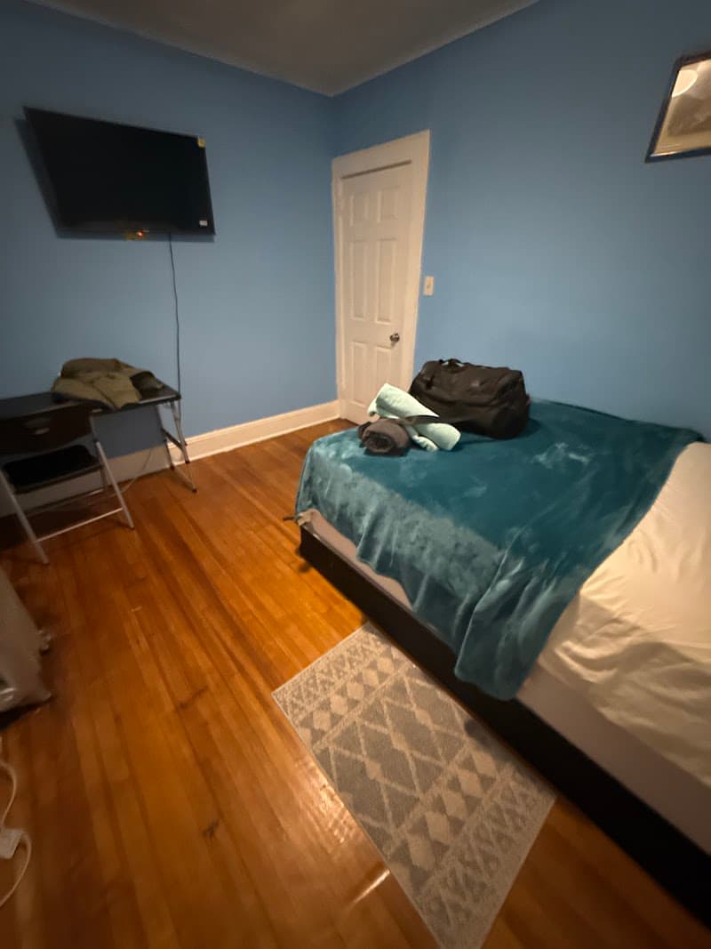 Fidelia Room Fuchsite